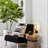 Toppino Iron Swing Arm Sconce
