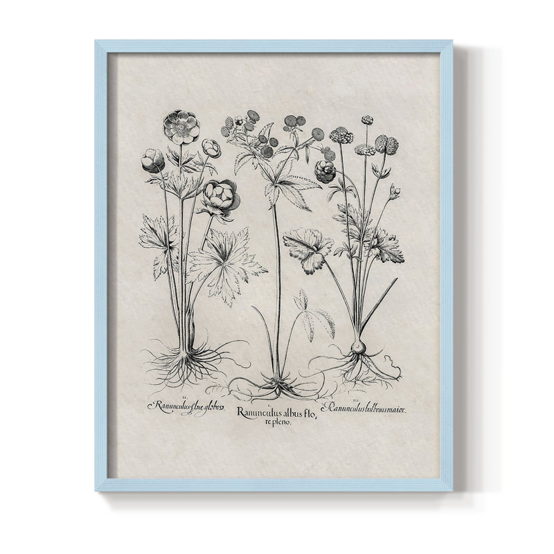Reproduction florale rétro encadrée Cccxxv - bois massif, H 11 po x l 9 po, Bleu