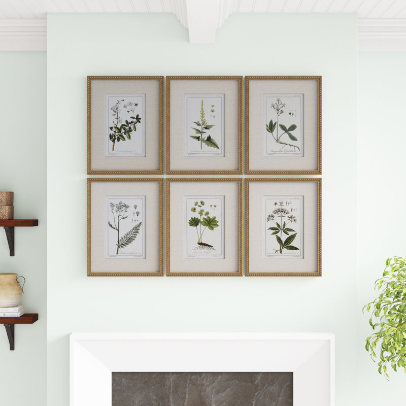 Floral Botanical Study - 6 Piece Single Picture Frame Print
