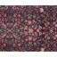 Wool Oriental Area Rug