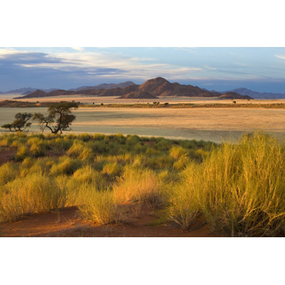 African Savannah At Sunset by LucynaKoch - Wrapped Canvas Print