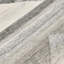 Canyon Geometric Shapes Area Rug in Gray