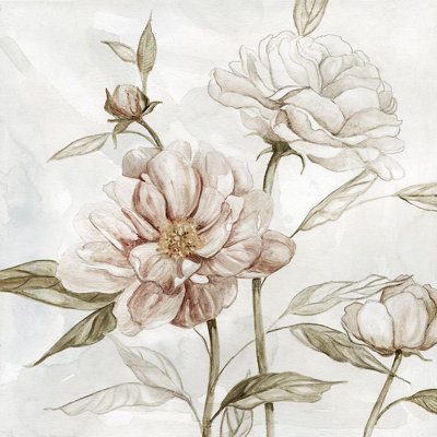 «Washed Botanical II» par Carol Robinson (24 x 24) 40820