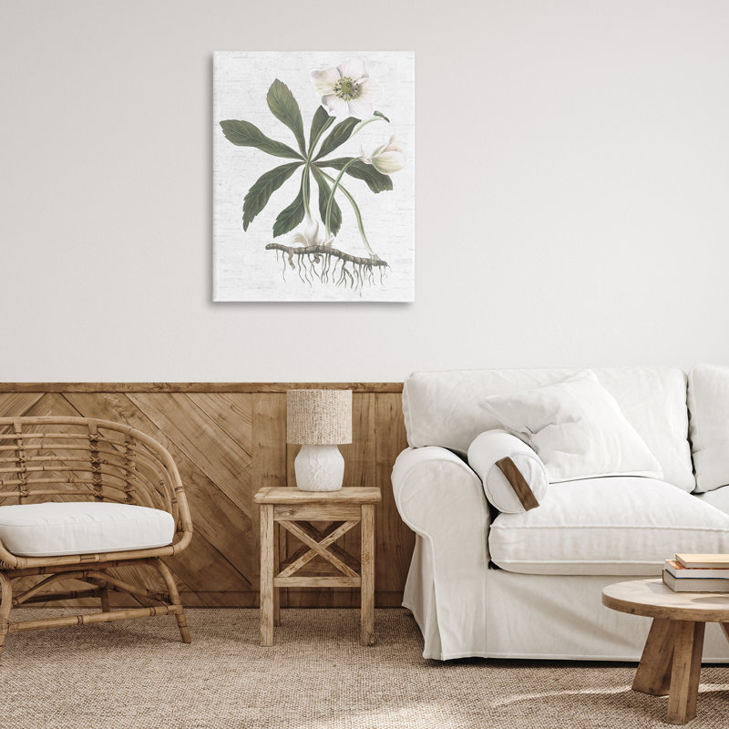 Art mural Magnolia Flower Study par lettré et doublé, H 40 po x l 30 po