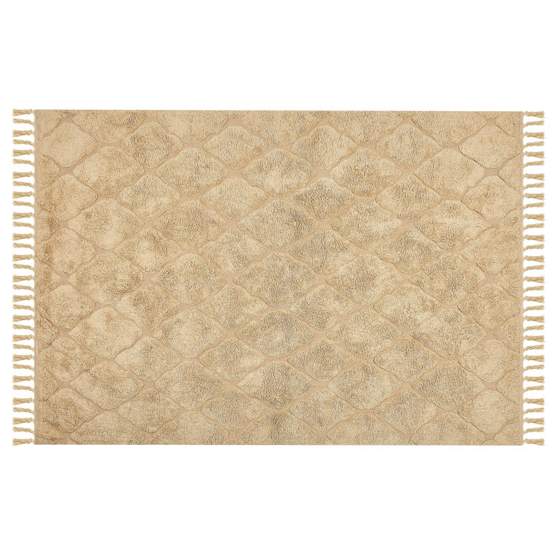 Rourke Geometric Cotton Hand Woven Area Rug, Rectangle 140 x 200cm