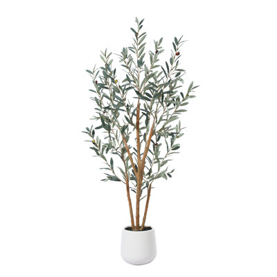 Adcock Fake Olive Tree with Oval White Planter, Faux Olive Plants with Realistic Leaves and Natural Trunk