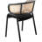 Daishun Dining Chair With Stainless Steel Legs Velvet Seat and Cane Back-1719361929