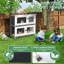 Emiel 4.4 Square Feet Chicken Coop For Up To 2 Chickens