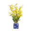 Oncidium Orchid In Pot