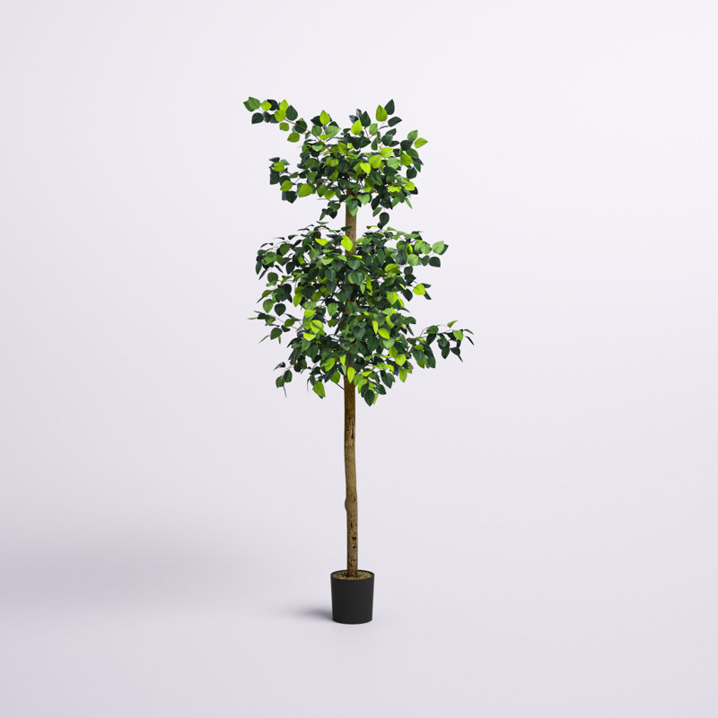 72'' Faux Ficus Tree in Pot