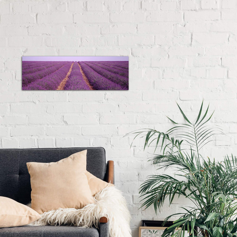 France, View of Rows of Blossoms in A Field 1 Piece Wrapped Canvas Panoramic Wall Art, 30.48 cm H x 91.44 cm W x 1.91 cm D