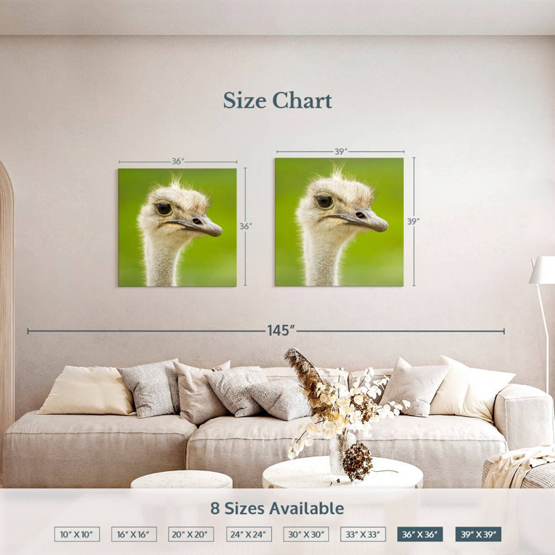 Crowle Serious Ostrich