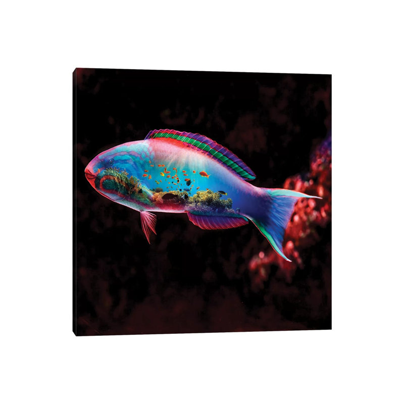 Fish by Paul Haag - Print on Canvas, Wrapped Canvas, 30.48 cm H x 30.48 cm W