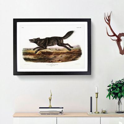 Black American Wolf by J.W. Audubon - Picture Frame Painting Print