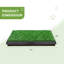 Dannyelle Dog Pee Turf