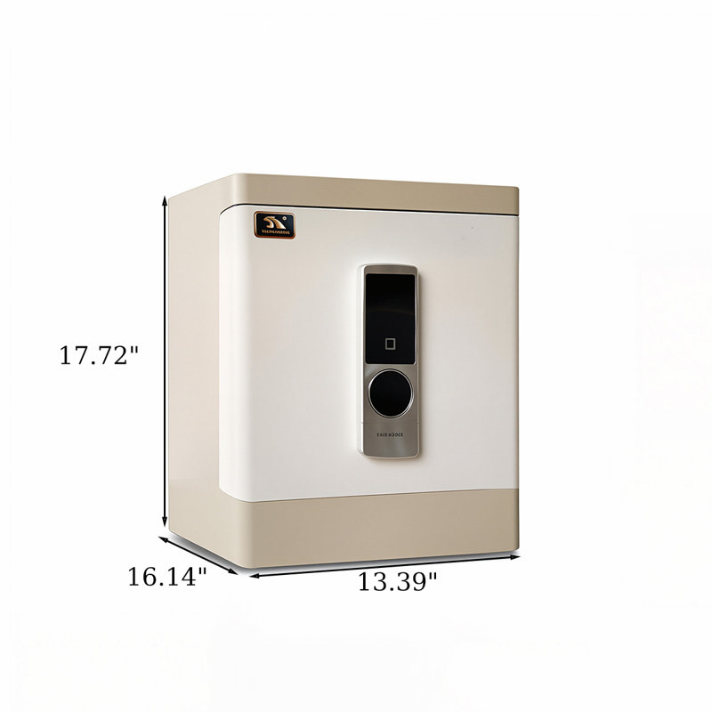 Armoire sécurisée à empreinte digitale 13,39 "pour bureau à domicile