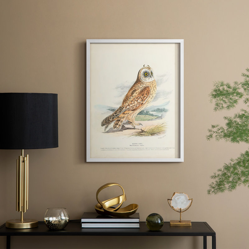 Hawk Owl Framed Print - Solid Wood, 15" H x 12" W, White