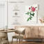 Provence Rose Rosa Indica de Les Roses-420603452