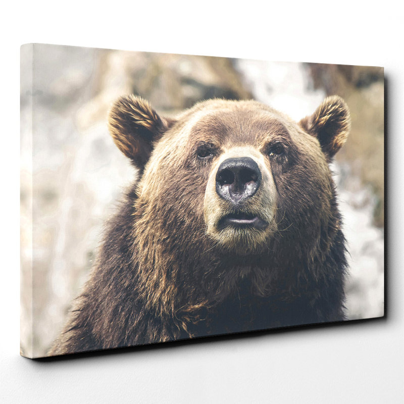 Wrapped Canvas Print, 50cm H x 76cm W