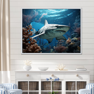 " Coral Sharks Ballet "