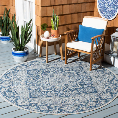 Ieuan Performance Oriental Indoor/Outdoor Area Rug