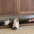 Classic Popularity Storage Shoe Cabinet