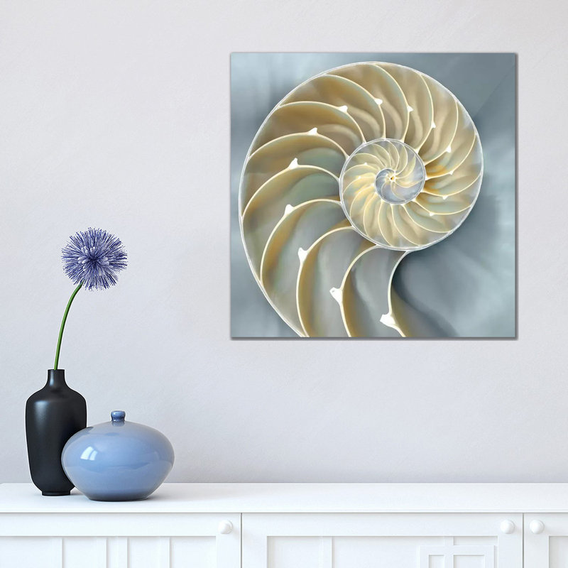 Nautilus In Blue I, 45.72 cm H x 45.72 cm W, Brown Framed