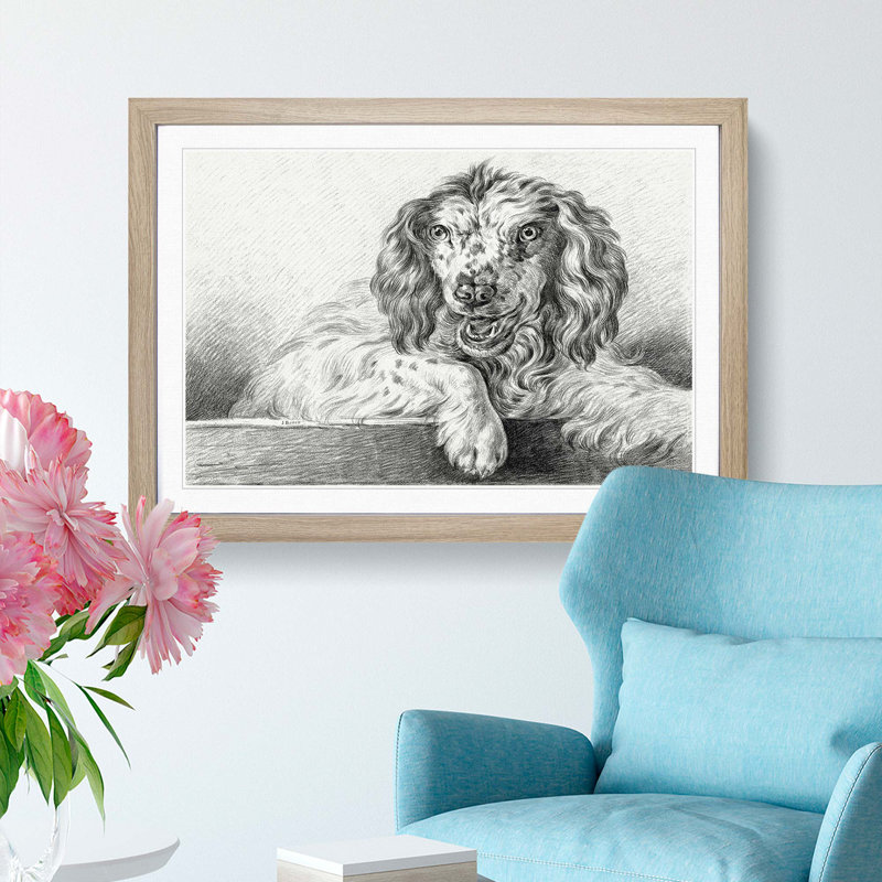 Springer Spaniel Dog by Jean Bernard - Picture Frame Drawing Print, Oak Framed, 36cm H x 48cm W x 2cm D