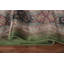 Tapis vert traditionnel 6 x 9