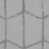 Gray/Silver selected