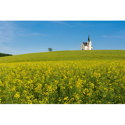 " Rapeseed Field " by Blazekg