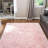 Hermina Light Pink Area Rug-1556780102