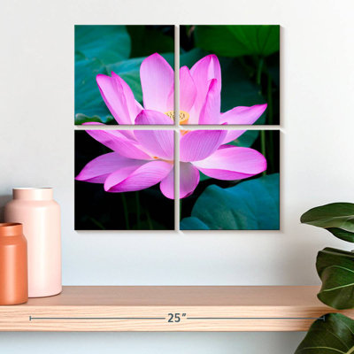 Fleur de lotus Harnek