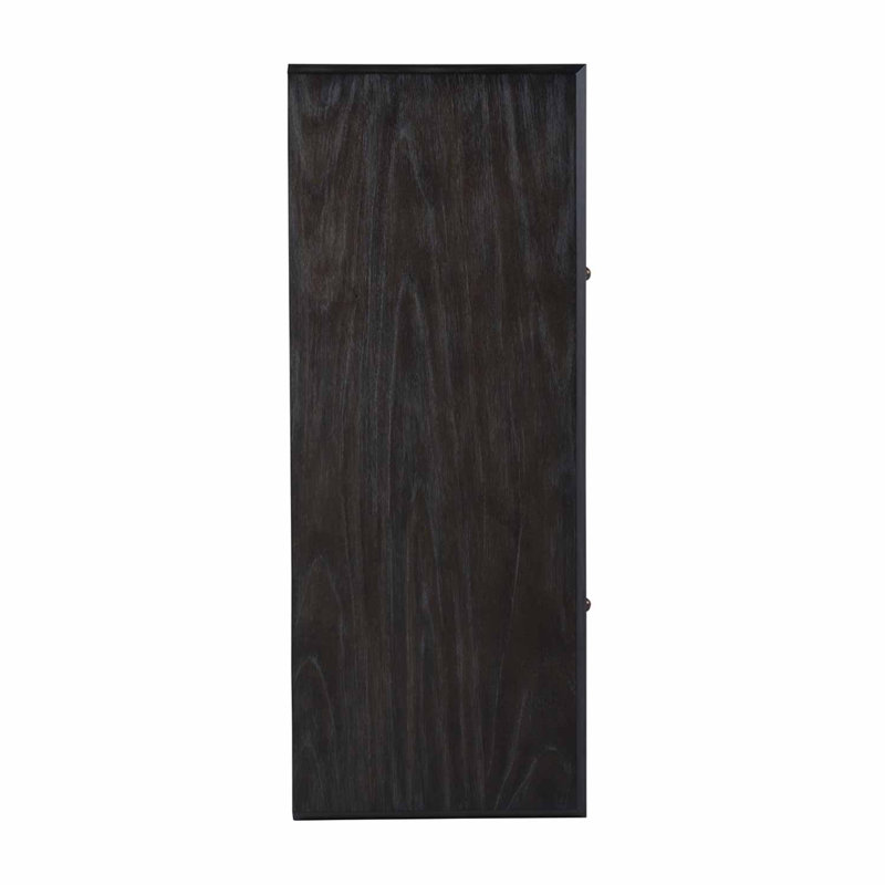 Ezekiel 2 - Door Accent Cabinet, Cerused Forest Black