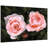 " Ethereal Roses I "