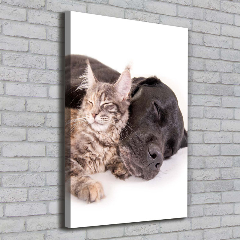 Dog And Cat - Wrapped Canvas Print