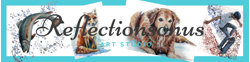 Logo Reflectionsonus Art Studio