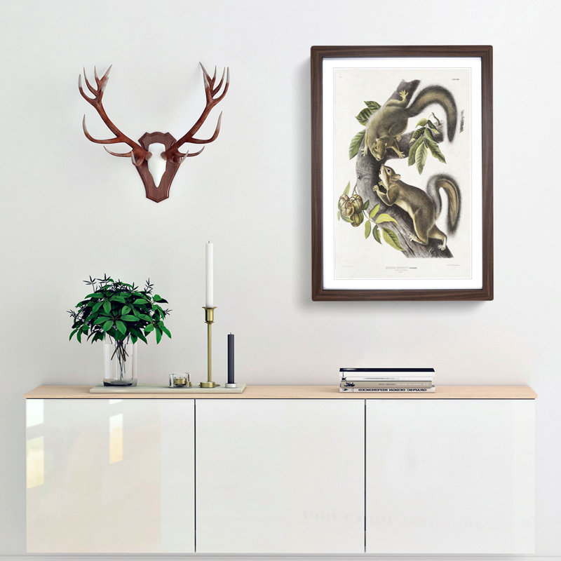 Hare Squirrels by J.W. Audubon - Picture Frame Painting Print, Walnut Framed, 48cm H x 36cm W x 2cm D