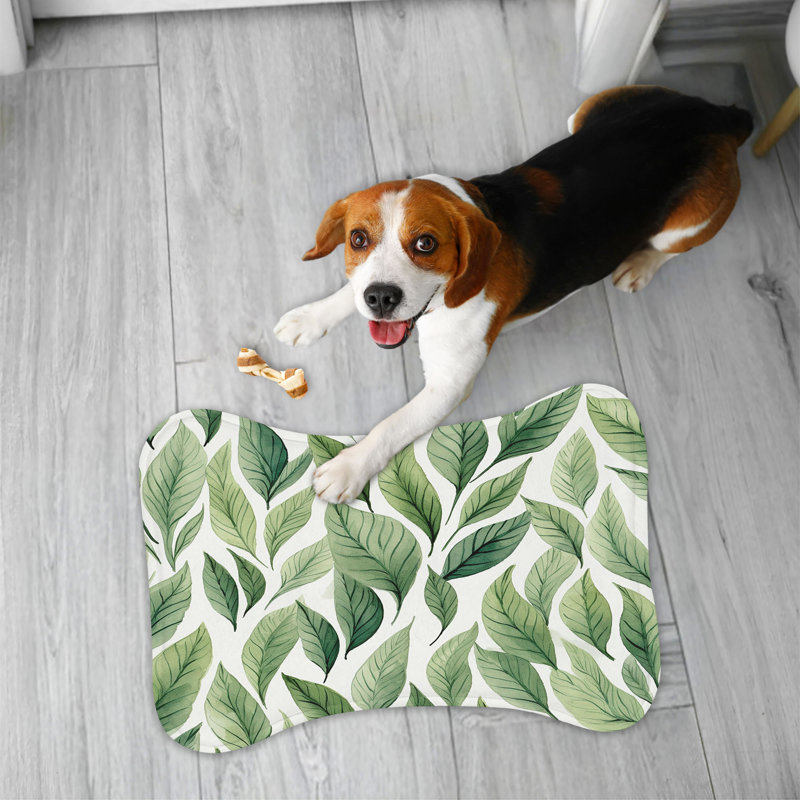 Plantes en verre - Tapis d'alimentation en os 1 pièce