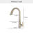 Langsun Pull Down Kitchen Faucet-70663597