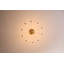 Ankeny Crystal Chandelier-1961234110