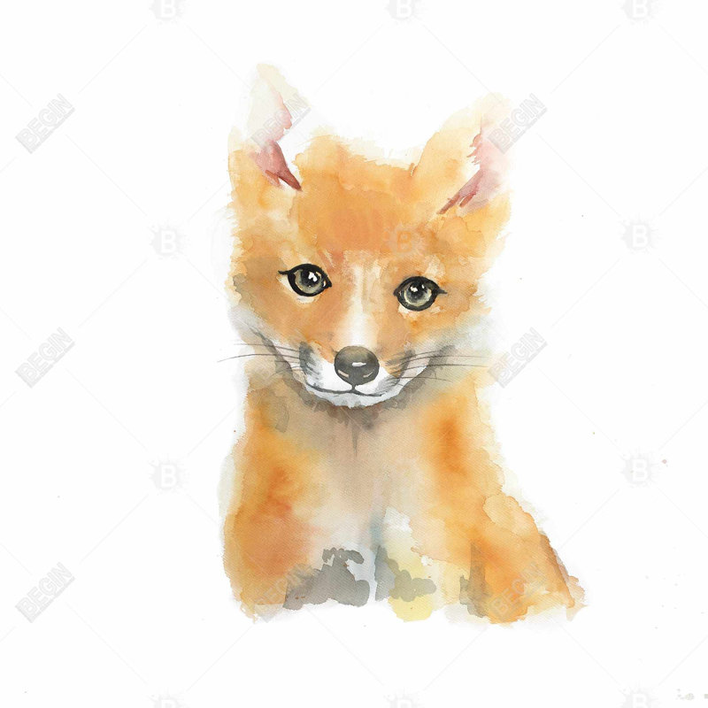 Watercolor baby fox - 36"x36" Framed canvas