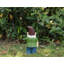 Gnomes UV Resistant Polyresin Garden Statue