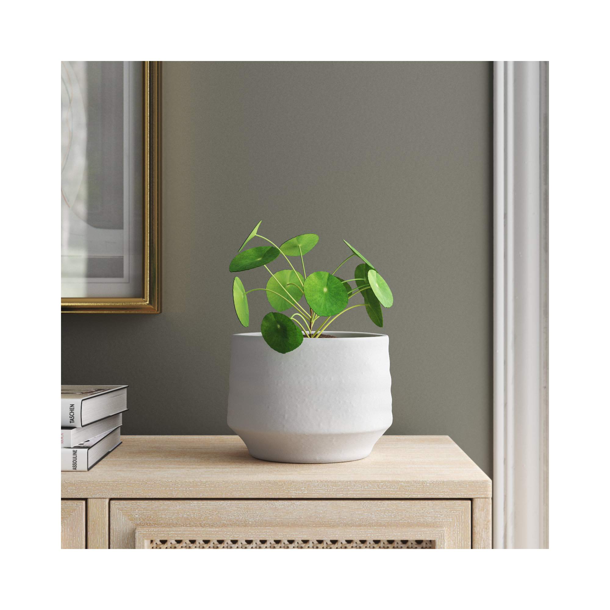 Canella Handmade Concrete Pot Planter, 6" H x 7.5" W x 7.5" D