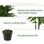 Larson 48'' Faux Dracaena Plant in Planter