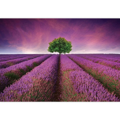 Arbre sur un champ de lavande, murale