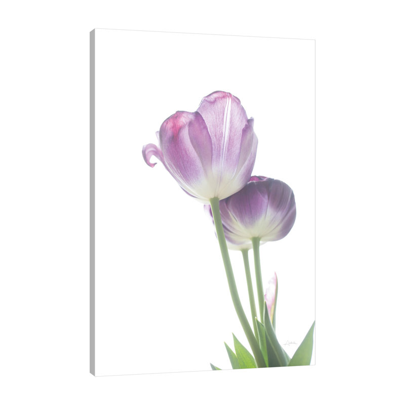 "Tulip Time III", toile tendue par Aledanda, H 48 po x l 32 po x P 1,5 po