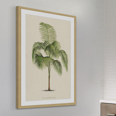 "Les Palmiers I" Framed Print