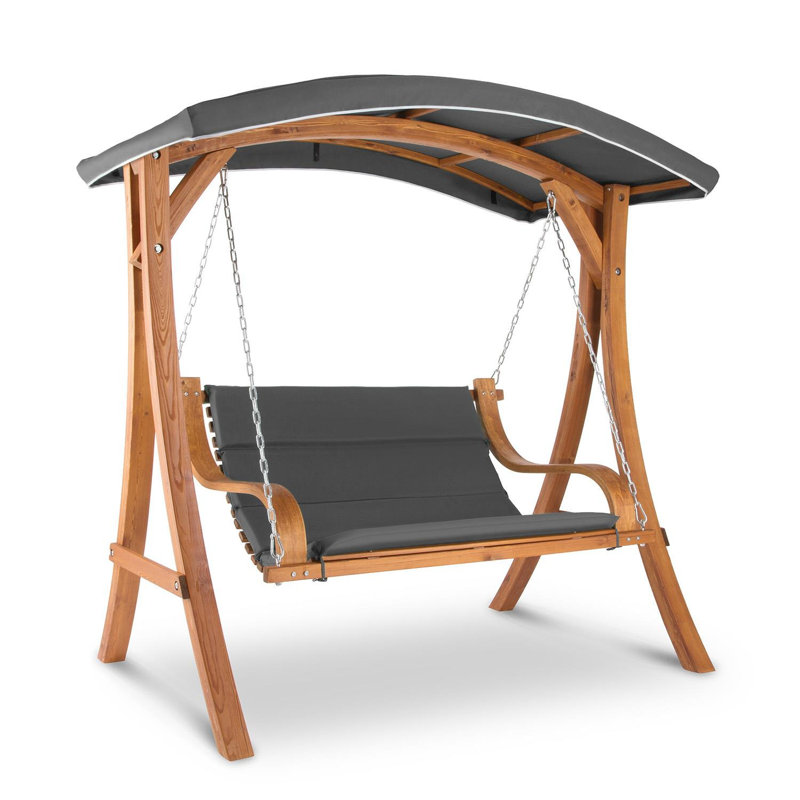 2 Person Porch Swing with Canopy