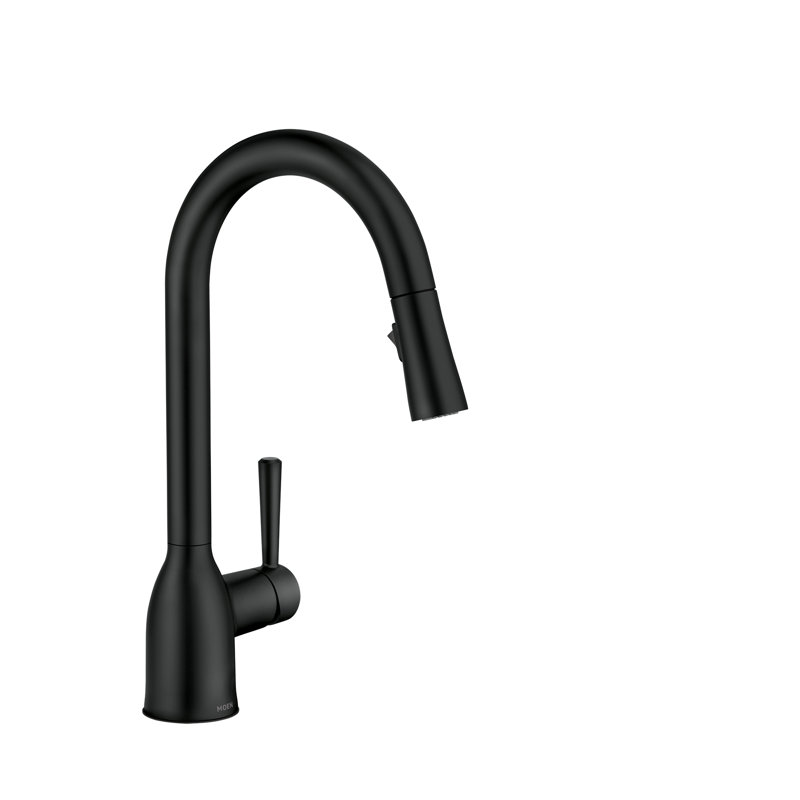 Adler Pull Down Single Handle Kitchen Faucet with Accessories, Matte Black